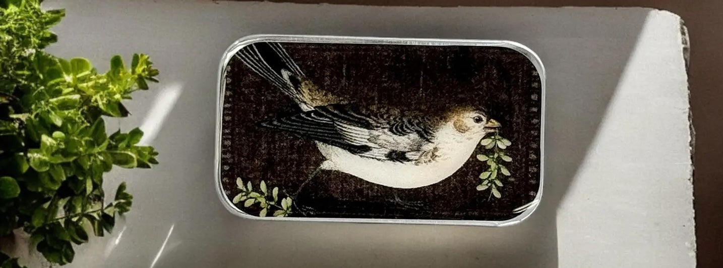 Gifts of All Kinds