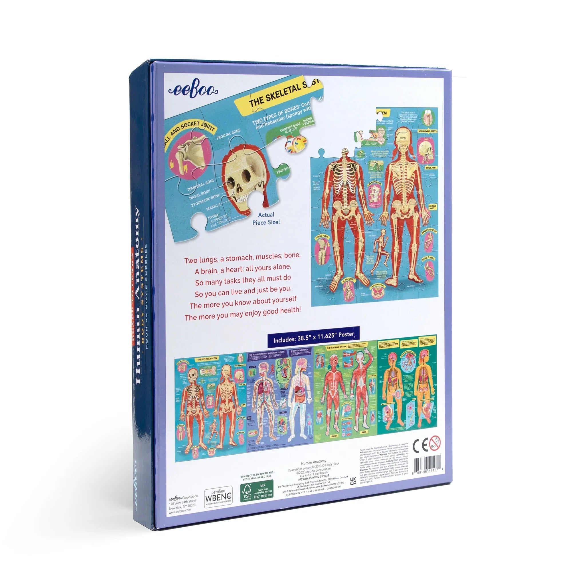Human Anatomy 4-Puzzle Set