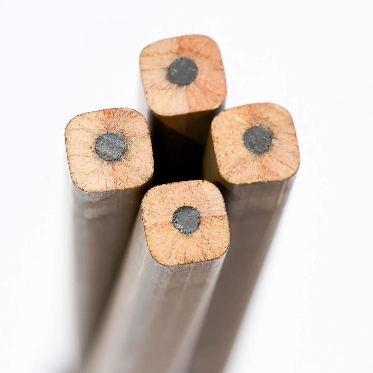 Blackwing Volume 21 Limited Edition Pencils - Firm - Box of 12