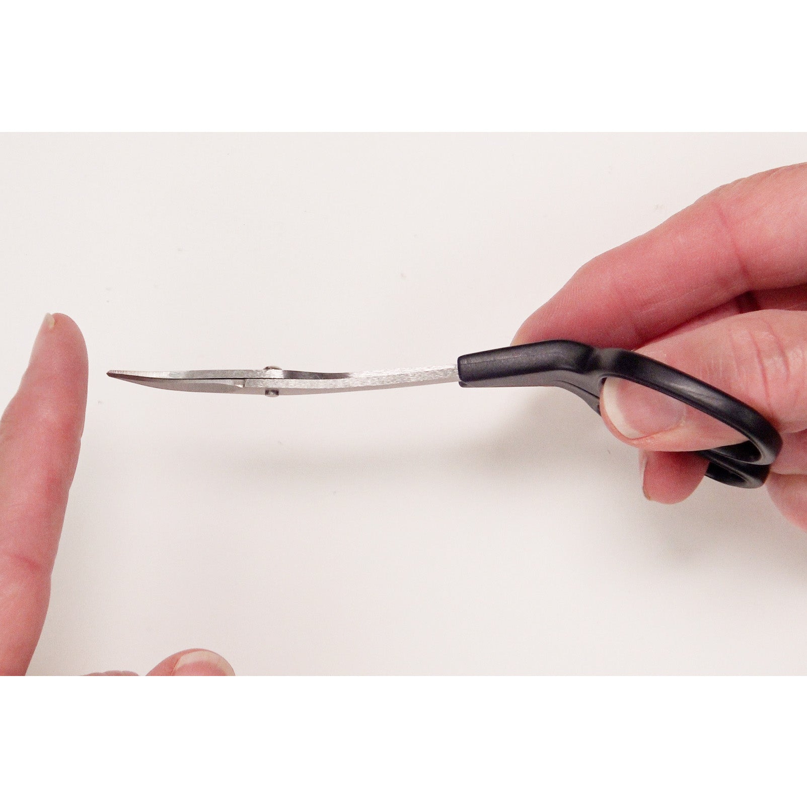 Double Curved Scissors by Kai